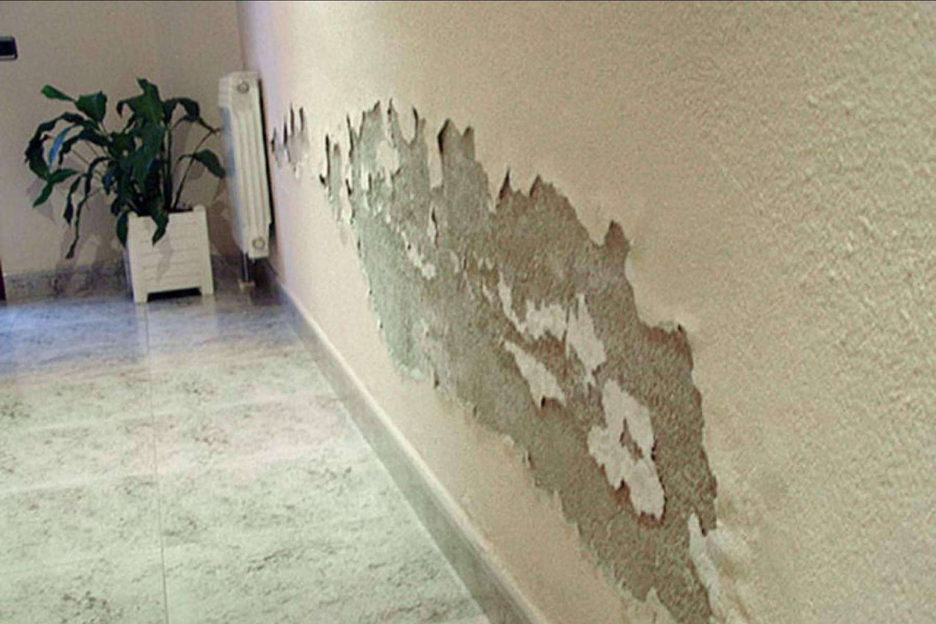 Soluciones definitivas de las humedades gracias a Valencia Reformas