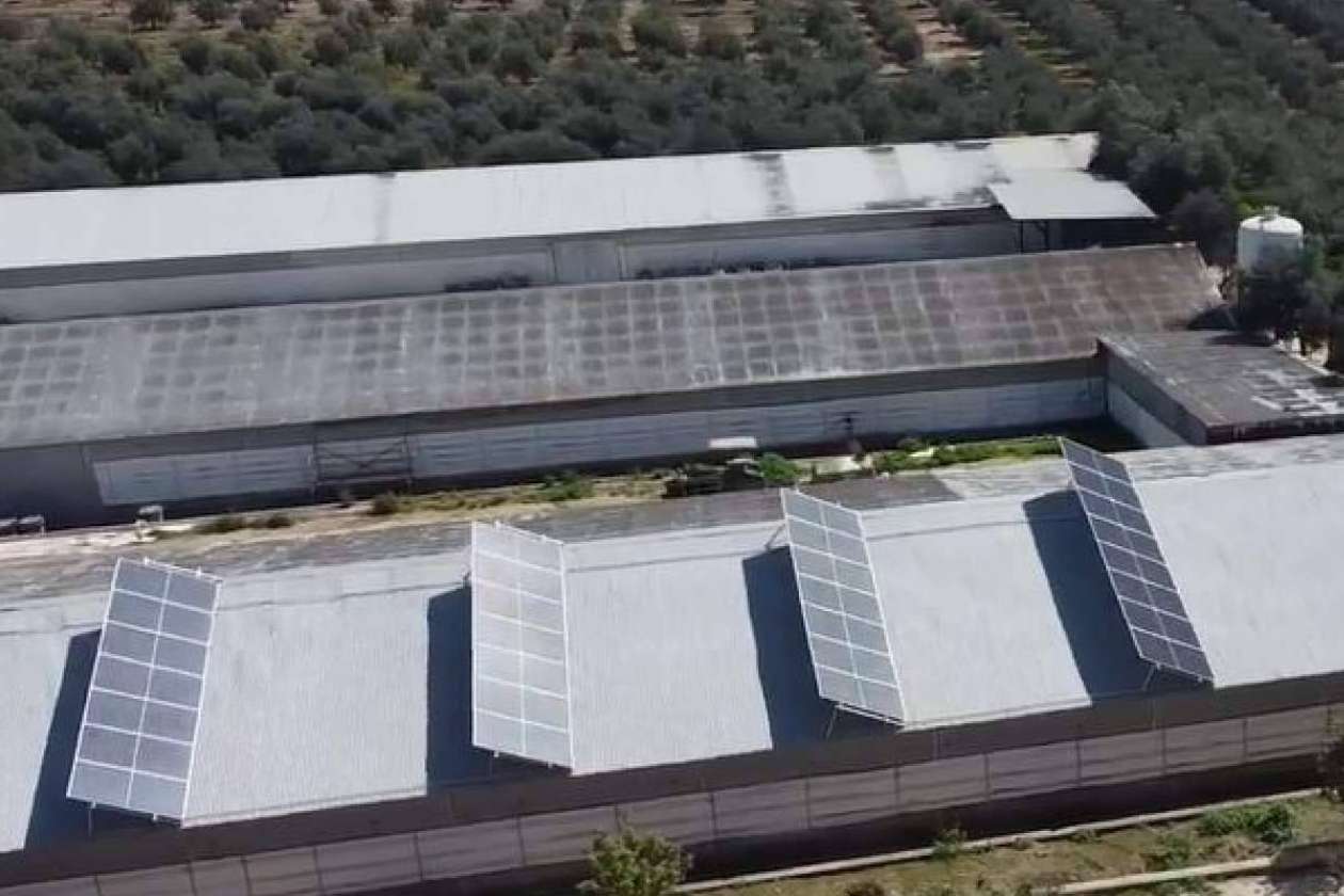 Los beneficios de contar con energía de autoconsumo en empresas, por TodoAgrícola