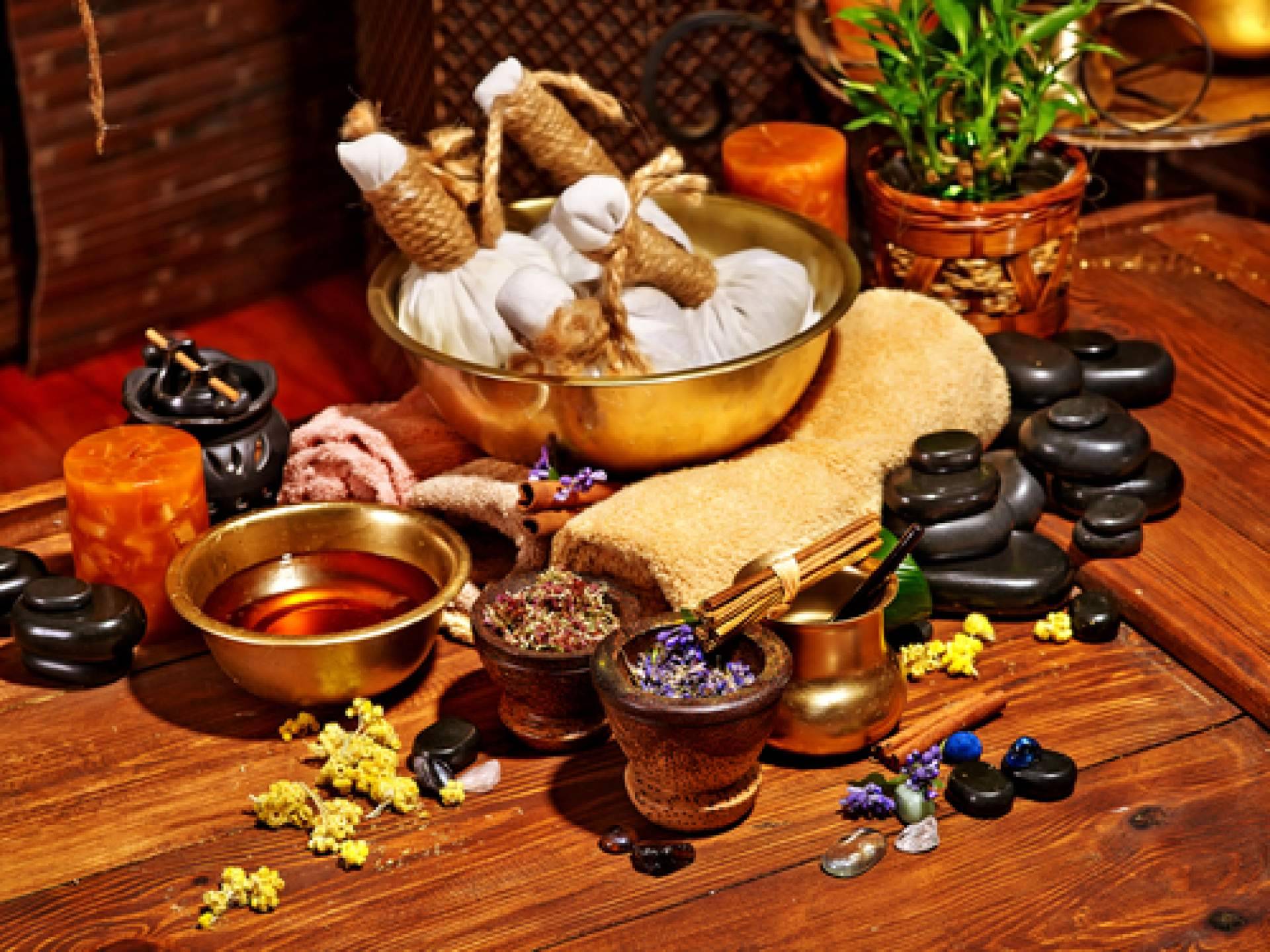 ¿Cómo transformar el bienestar con la práctica milenaria de Ayurveda?, por la terapeuta experta Pat Bernal