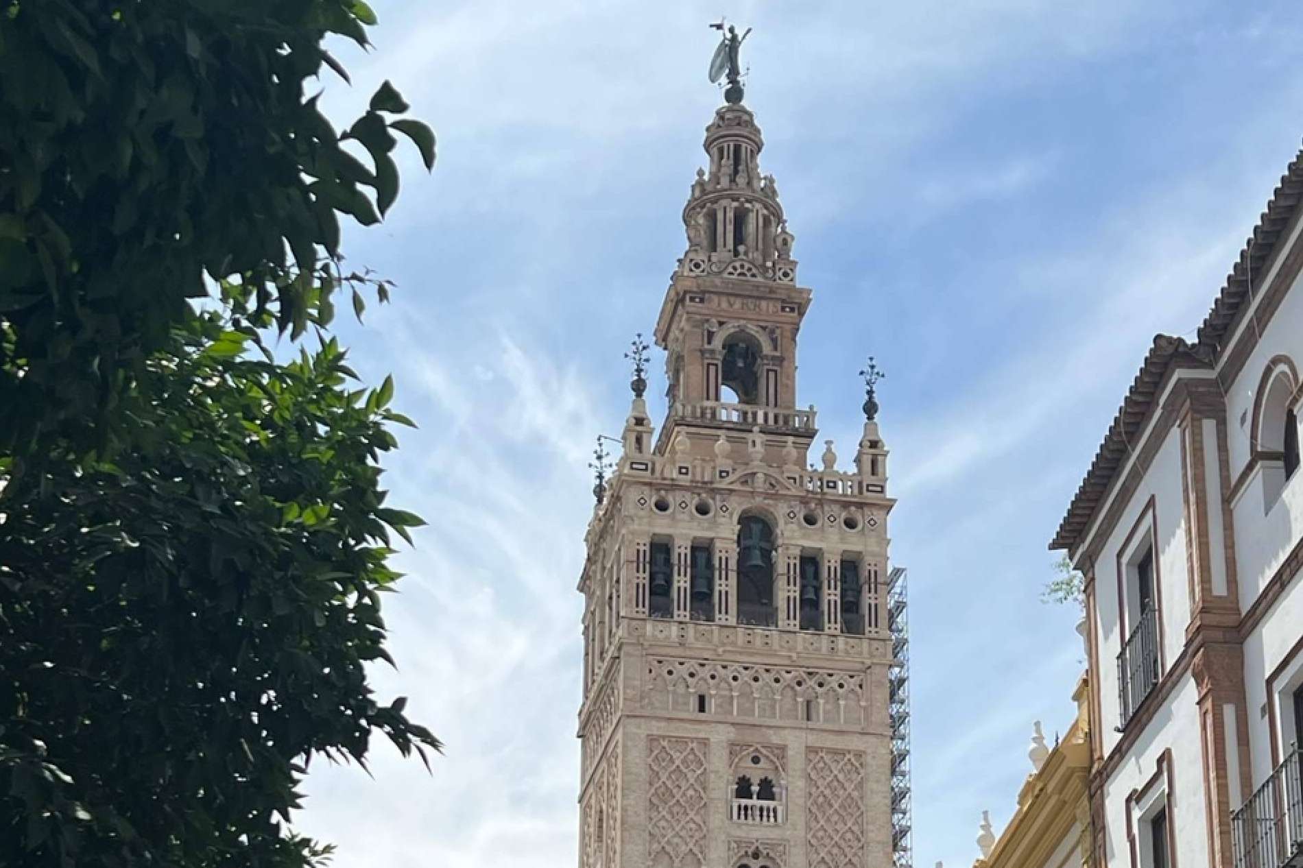 Premios Carey 2023; celebración del talento artístico hispanohablante en Sevilla