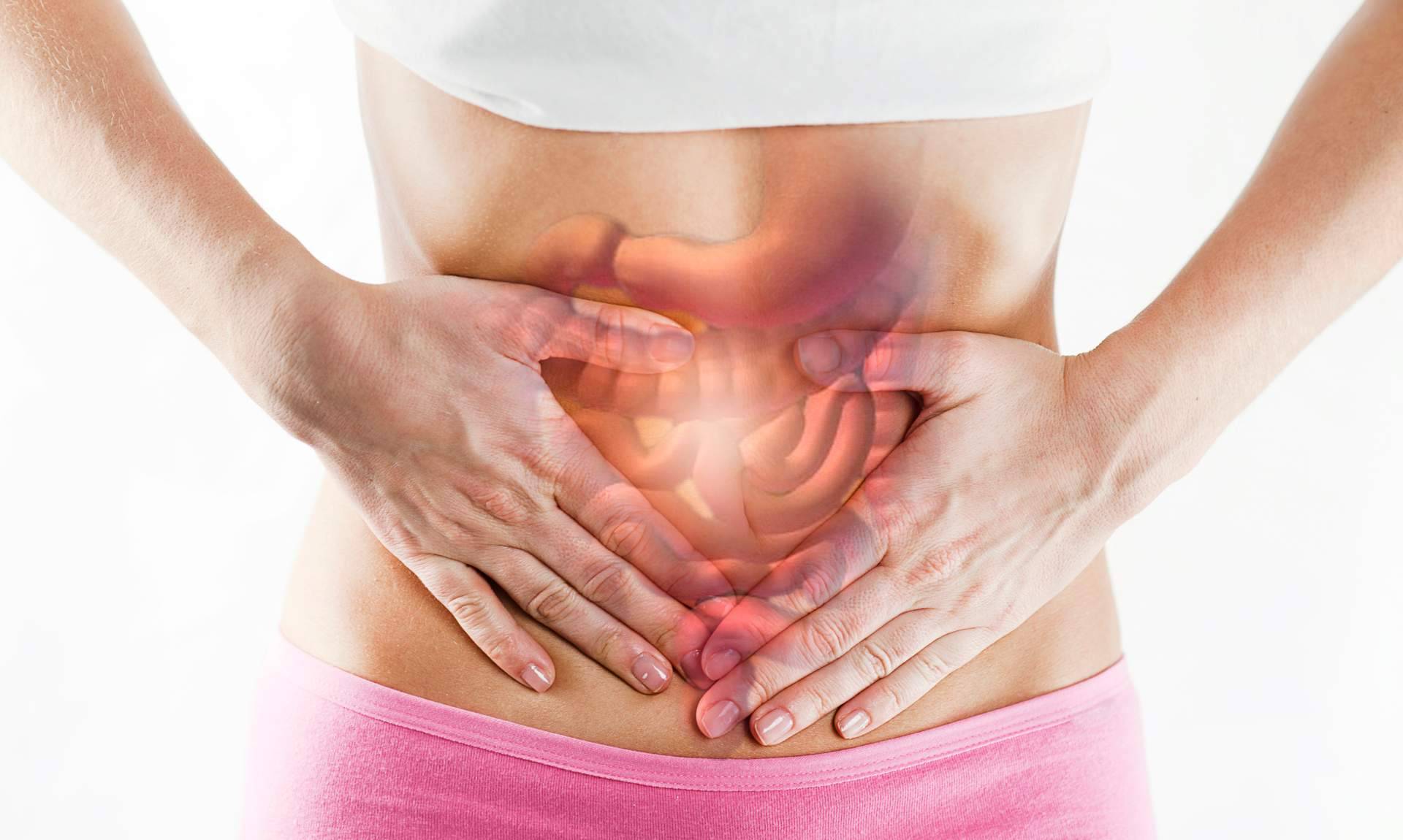 La leche de yegua para tratar trastornos intestinales, por eQuaid Research