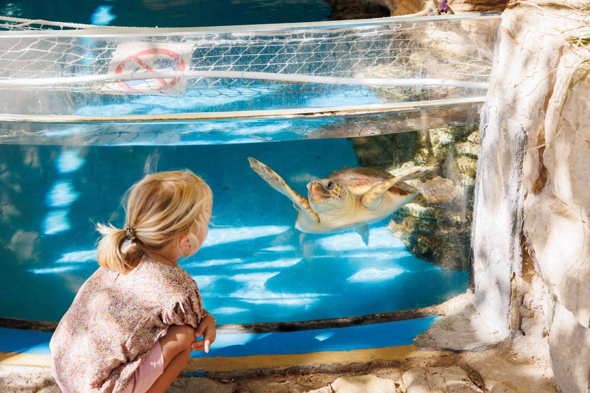 Descubrir el otro lado de Mallorca con Palma Aquarium