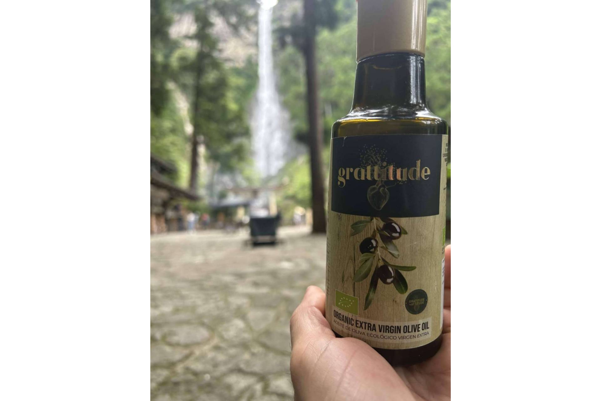 Ecológico + Medio Ambiente = Salud! La fórmula del Bienestar de Grattitude.es