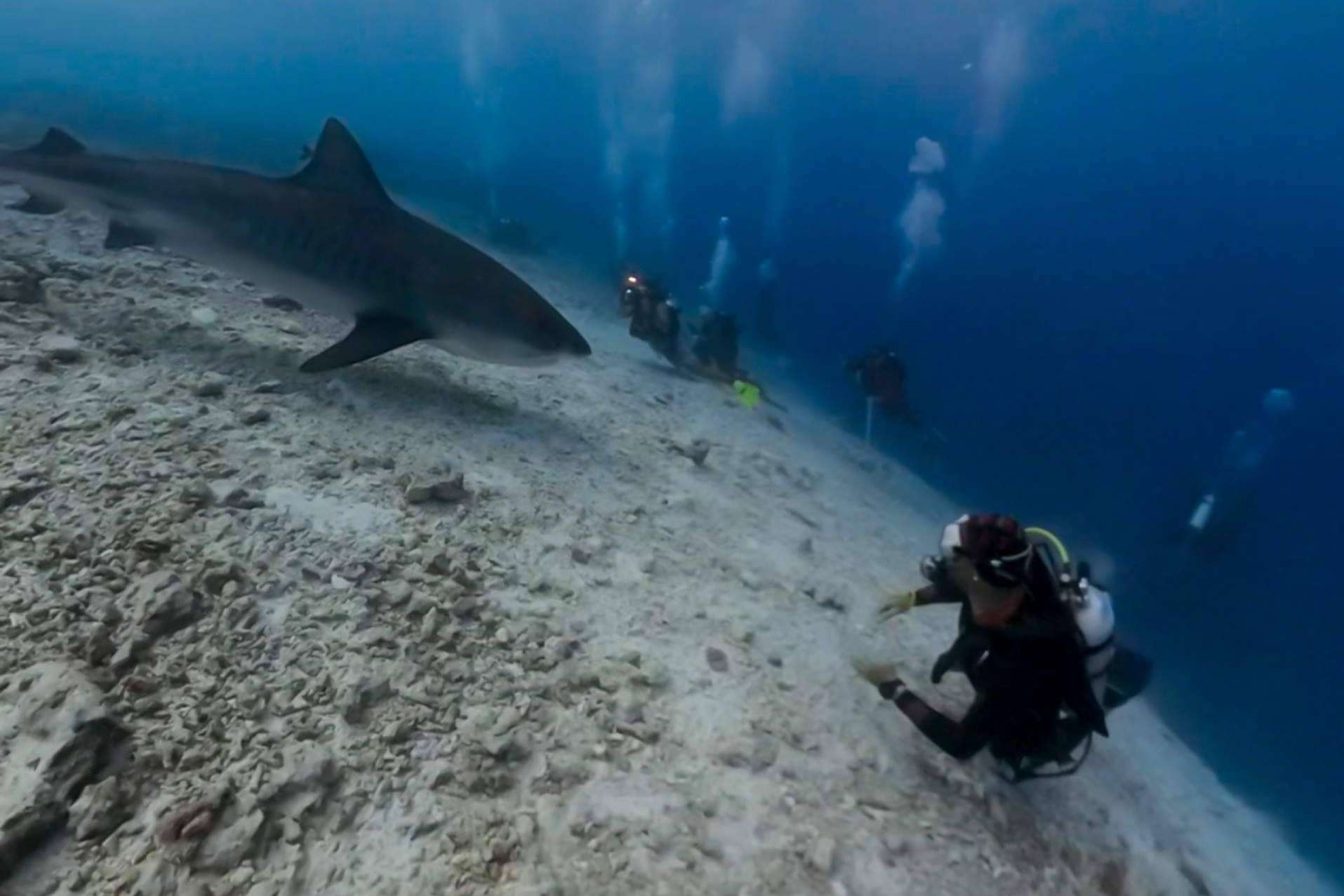 Drop Dive Maldives, exploración submarina en las Maldivas