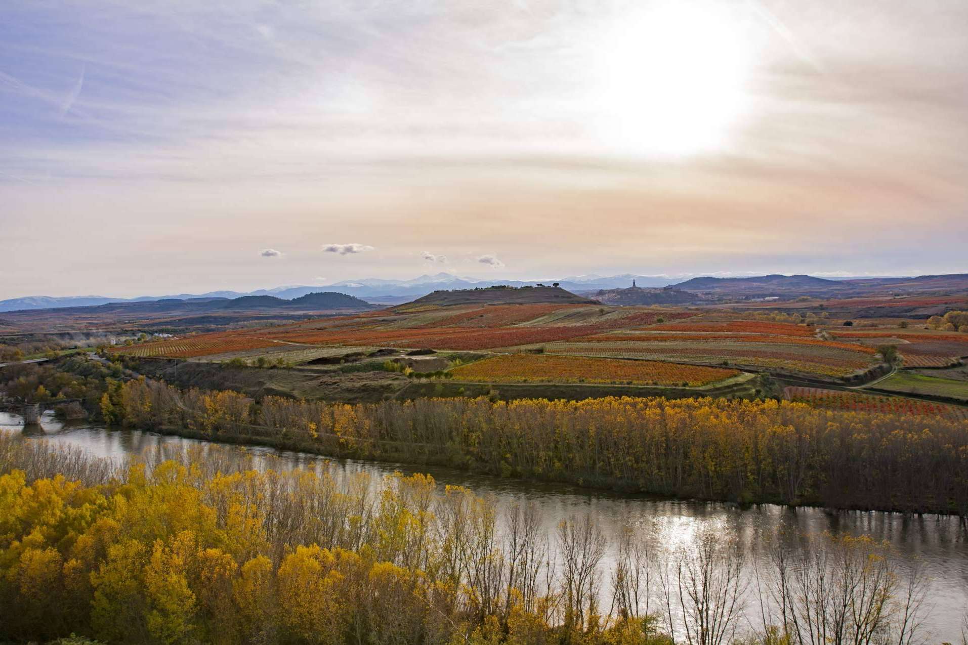 La importancia de ser un vino ecológico en La Rioja, Cornelio Dinastía