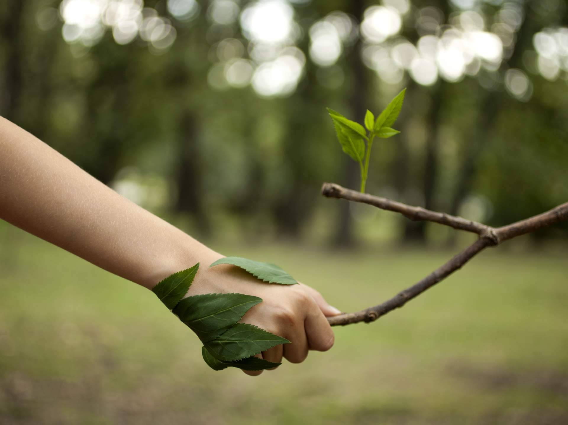 El 'Ecobranding' y la importancia de la marca en una organización