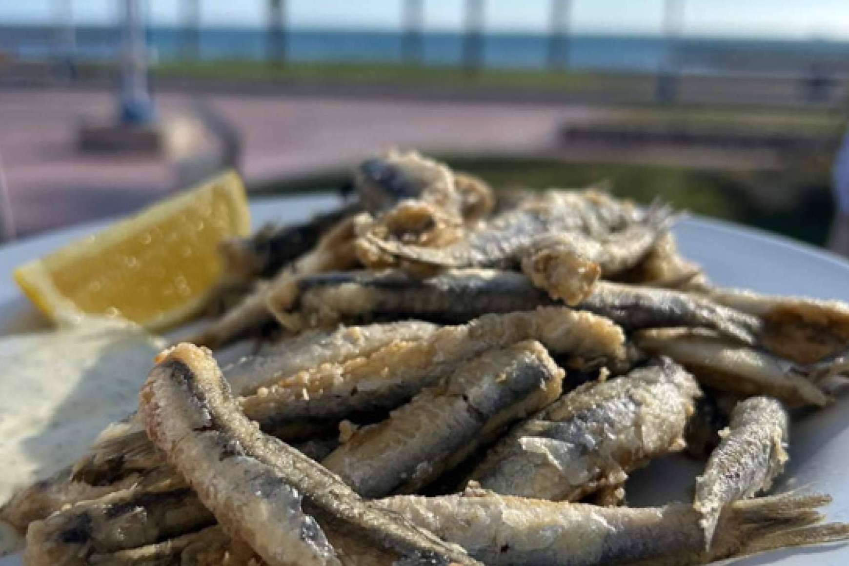 Casaamigos Playa, el destino gastronómico en Málaga para disfrutar del mar y el buen tiempo
