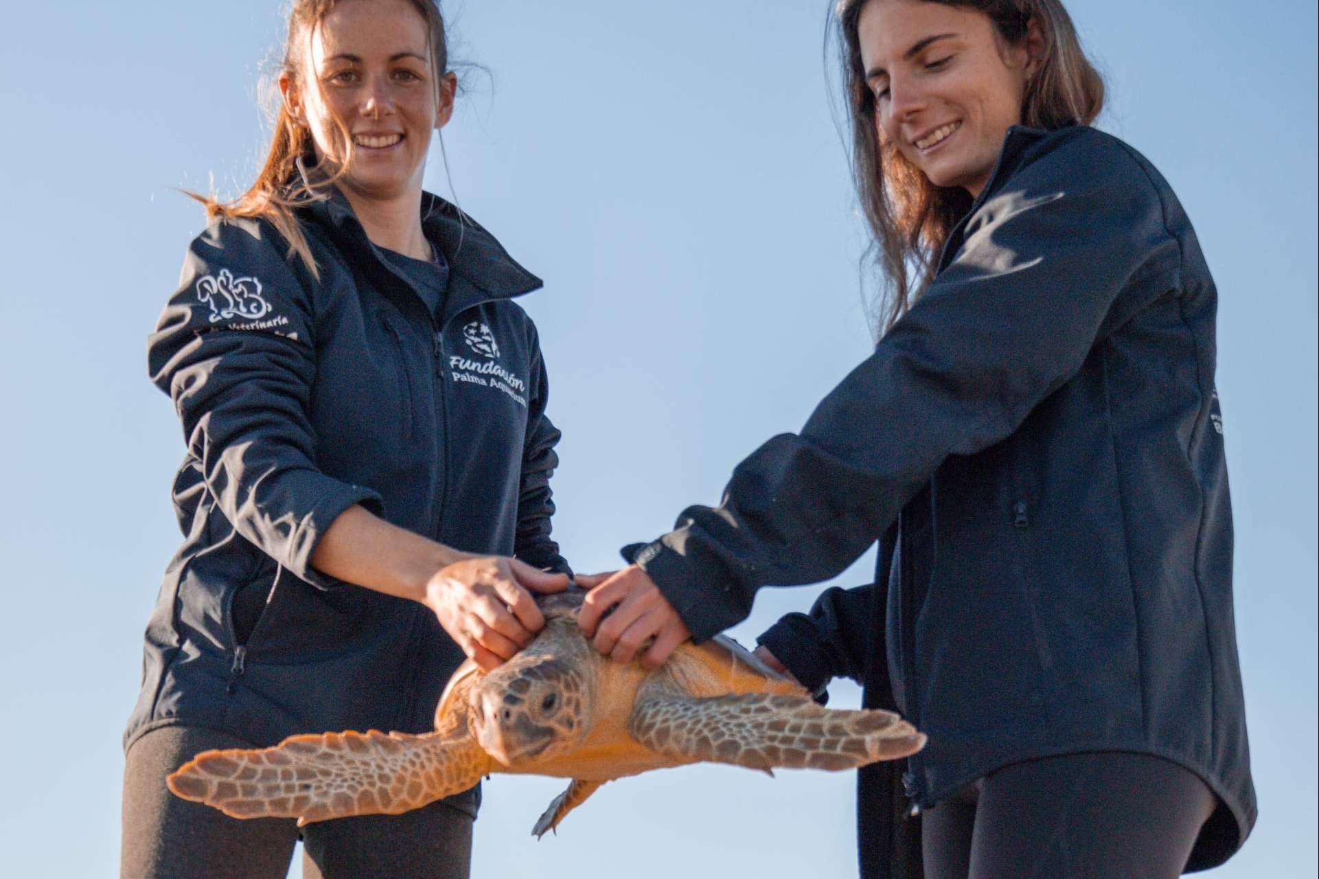 Palma Aquarium lanza ‘Som de la Mar’ con una fiesta benéfica y una programación mensual especial
