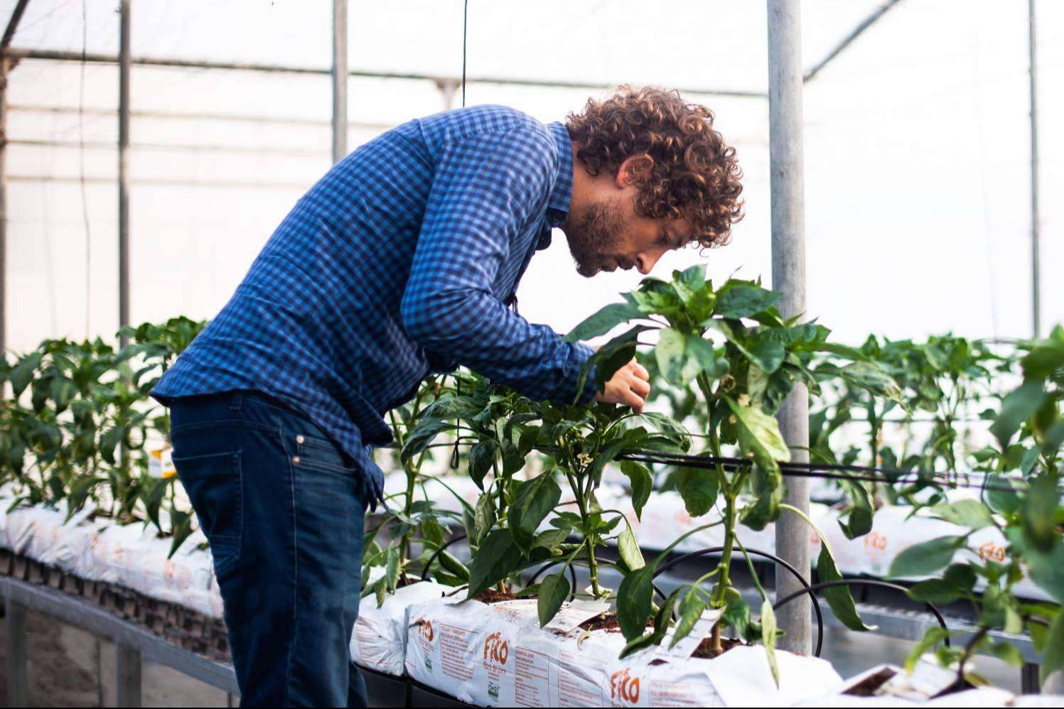Entrevista a Francisco Martín, director técnico de Nostoc Biotech; El futuro de la agricultura con biofertilizantes