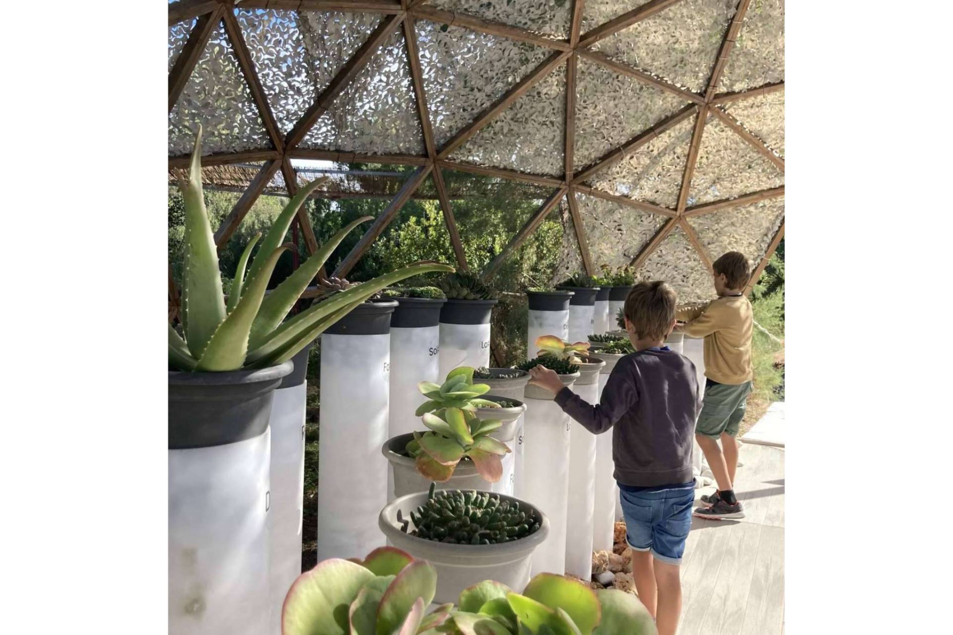 Explorar Ibiza desde otra perspectiva; Bibo Park, un destino imprescindible de turismo sostenible