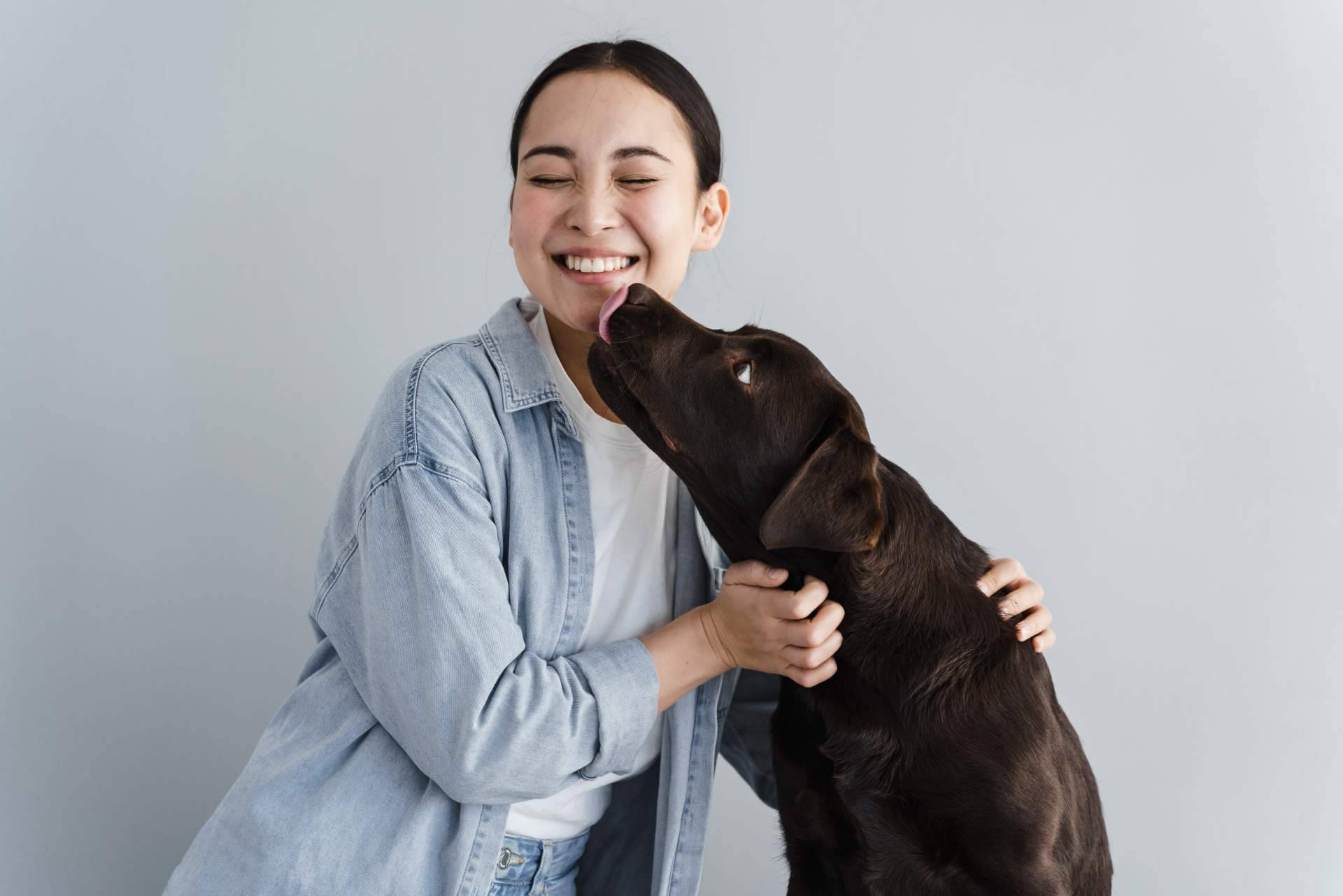 Las 7 residencias caninas mejor valoradas de Madrid