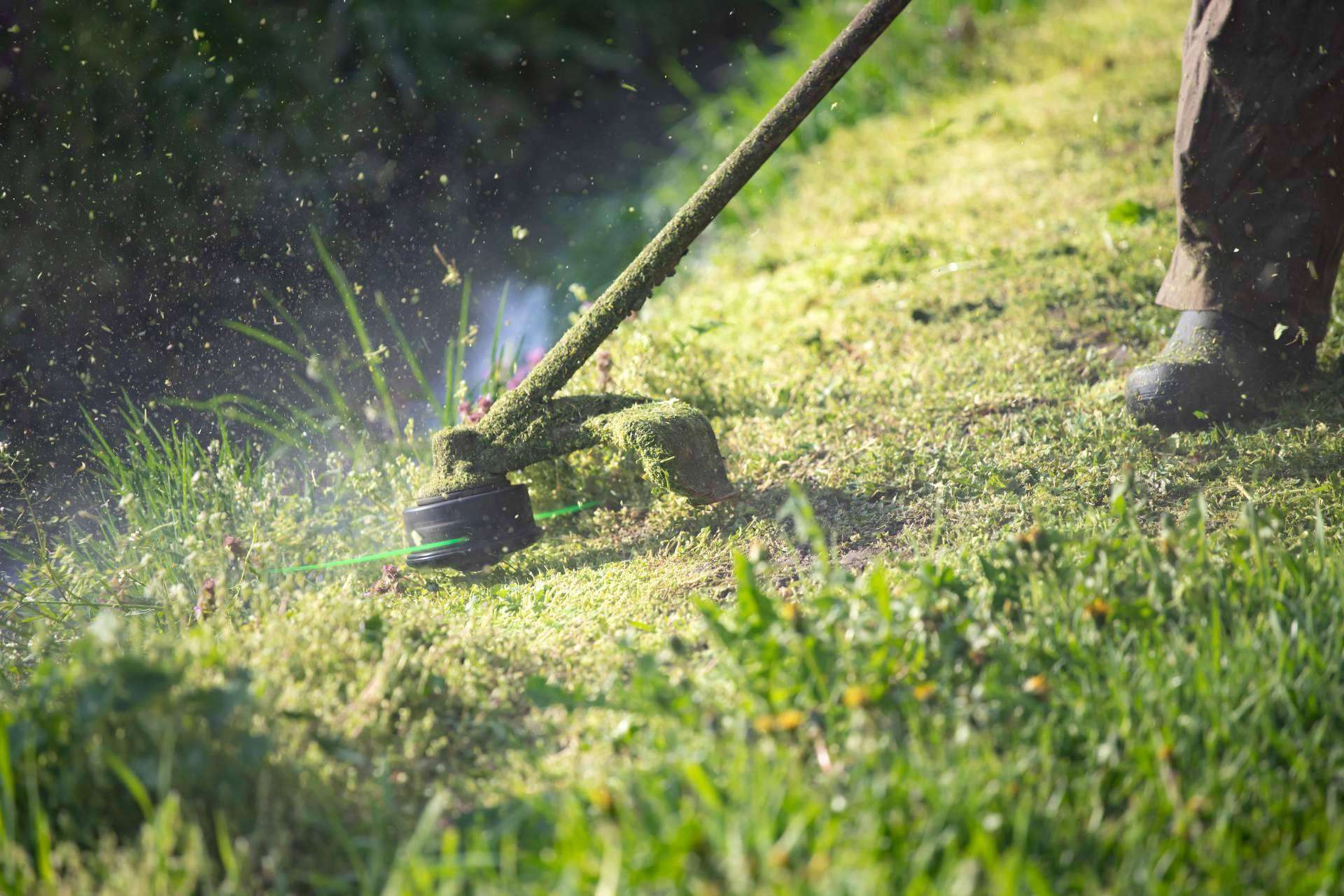 Transformando Barcelona con espacios verdes; jardinería profesional para hogares y ciudades sostenibles