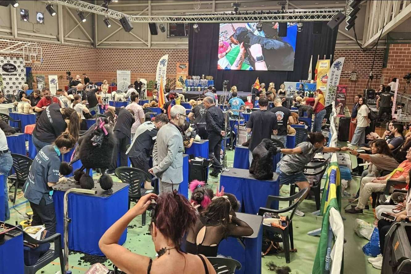 Murcia será sede del estilismo canino más top del mundo este octubre