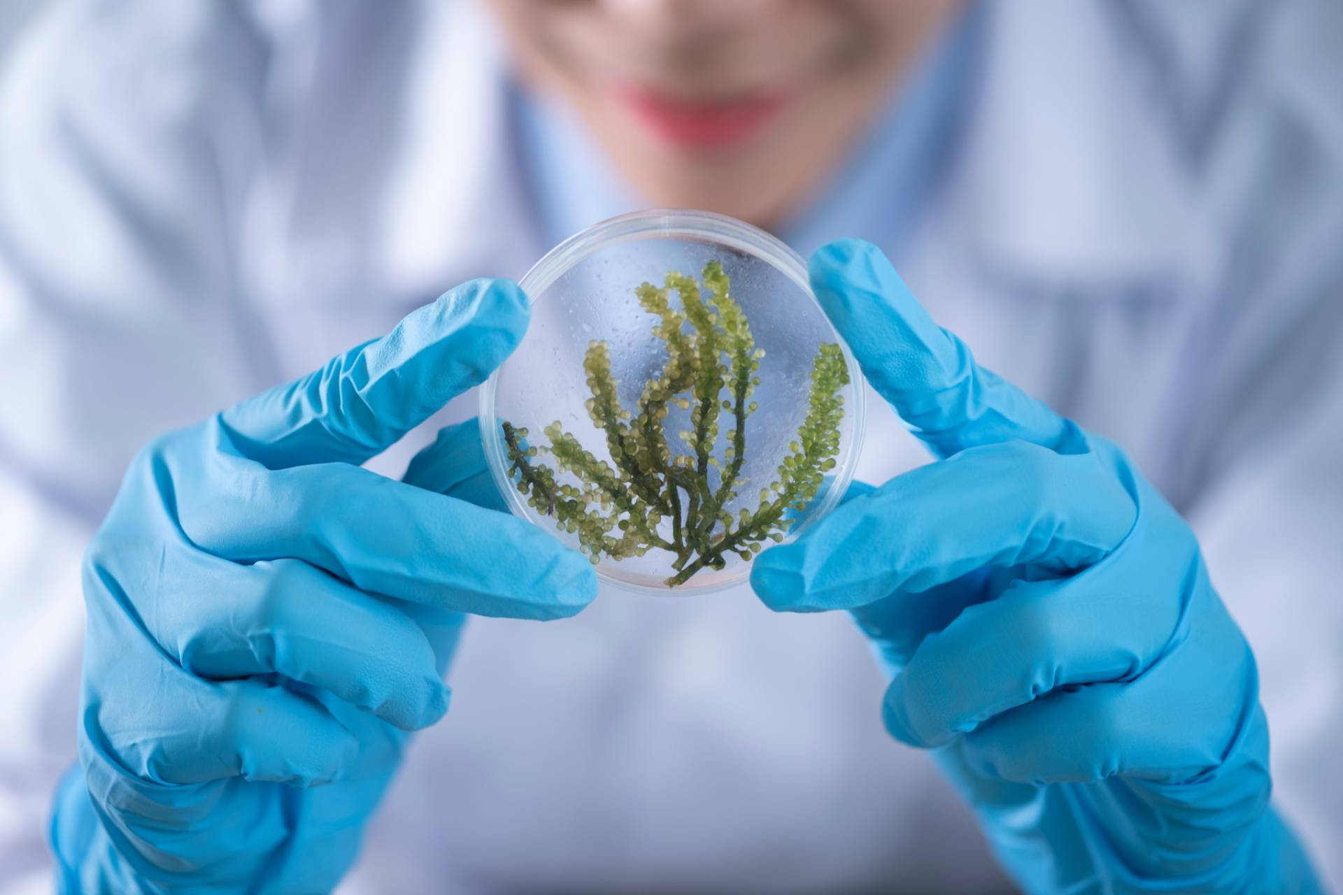 Opiniones sobre Naturalicia; biotecnología marina al servicio de la piel y del planeta