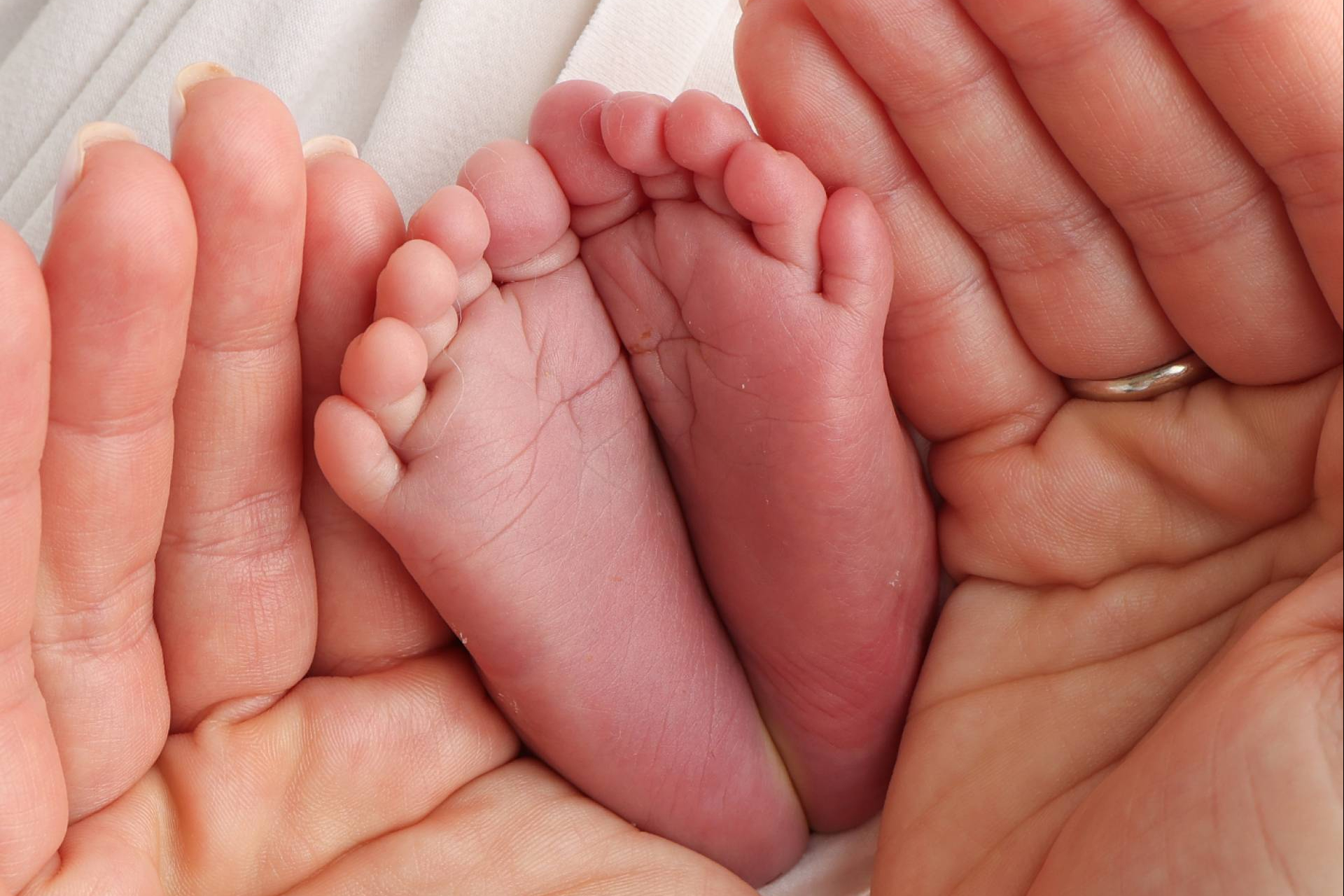 Ayudas públicas por prematuridad, acompañamiento y orientación para familias desde el nacimiento