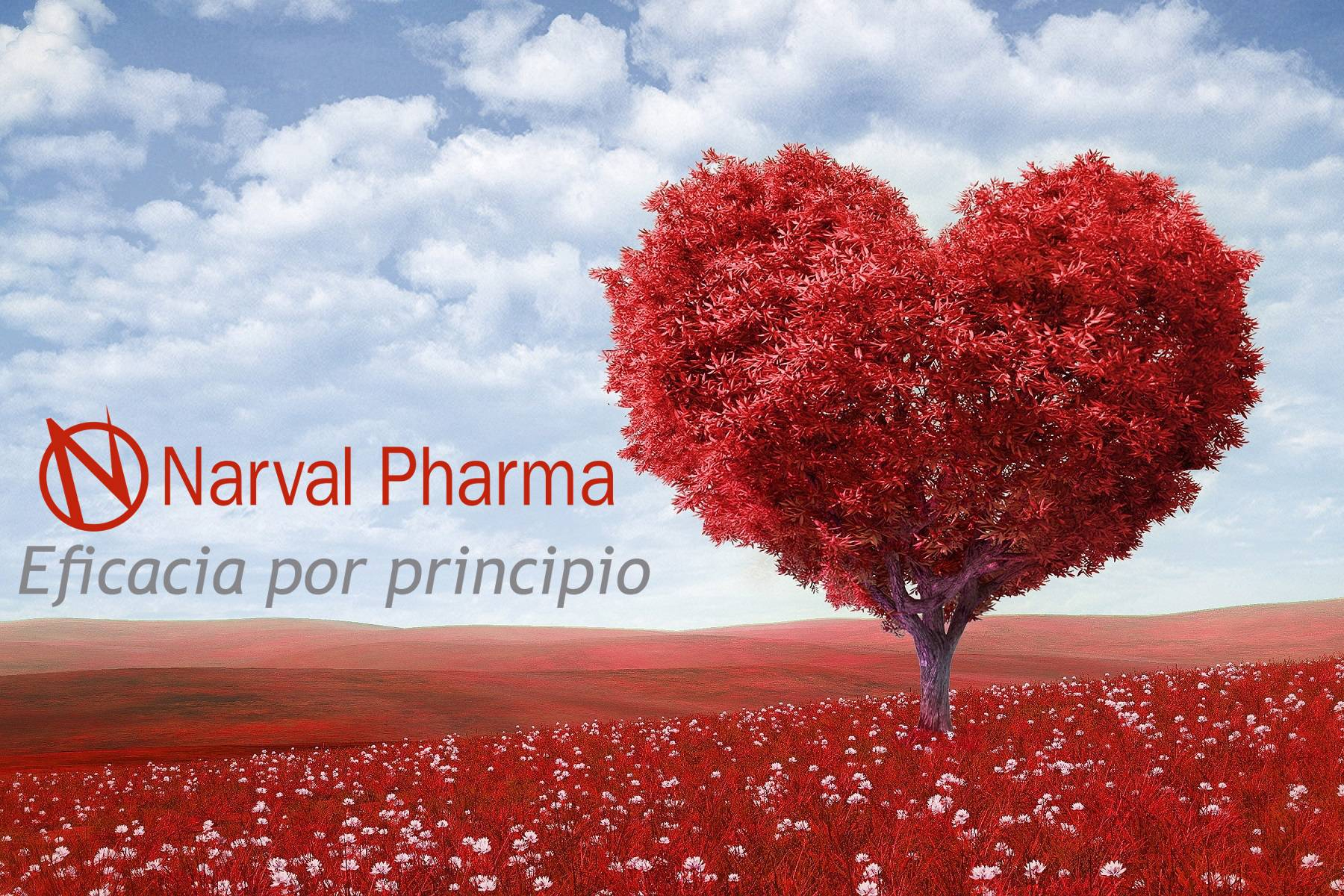 Narval Pharma garantiza nutracéuticos de calidad con certificación GMP y HACCP