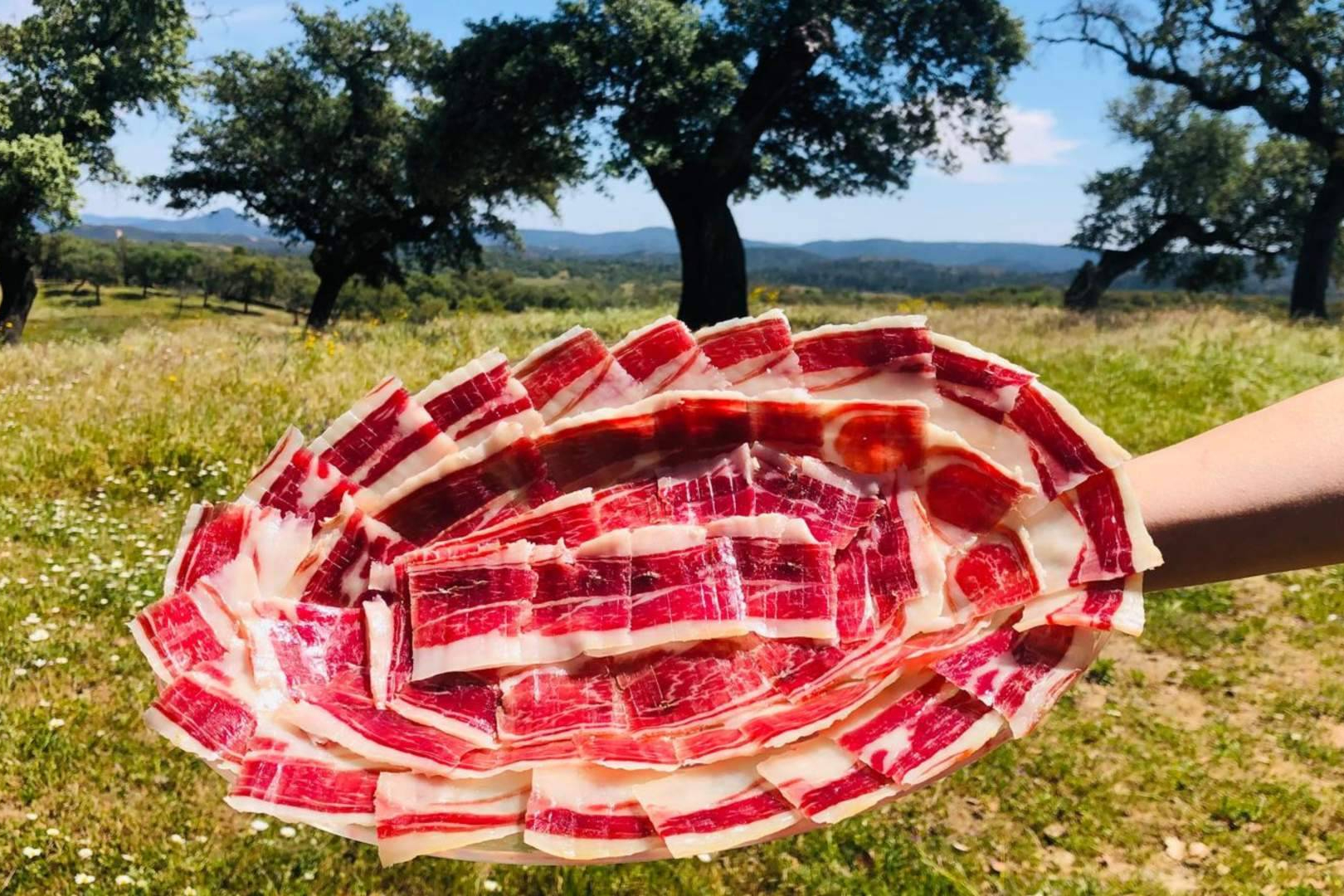Jamón y Paleta de bellota 100% ibéricos; uno de los mejores precios y disponibilidad si se compran antes de diciembre