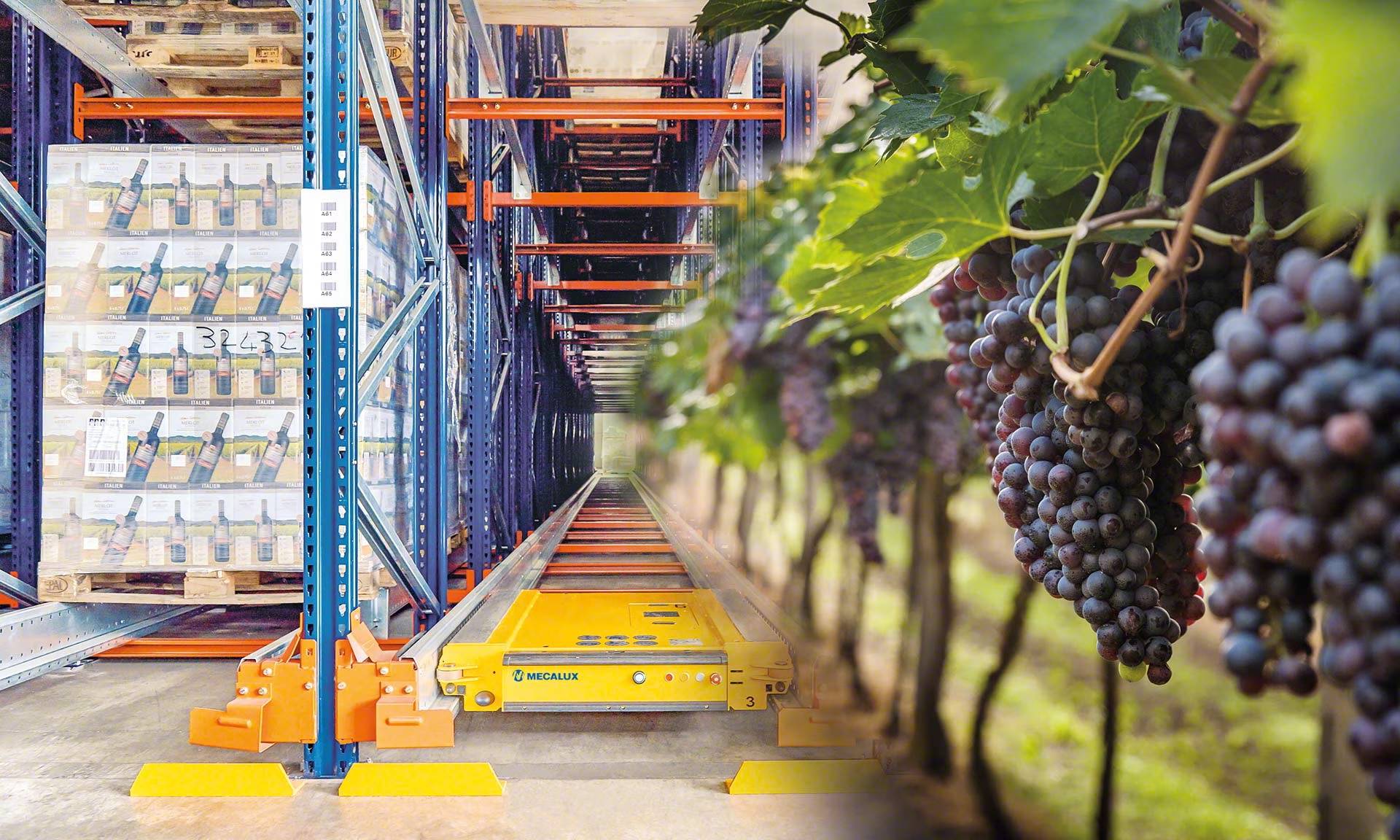 Difersa & Primavinia consolida su expansión con 15 millones de euros en 2024