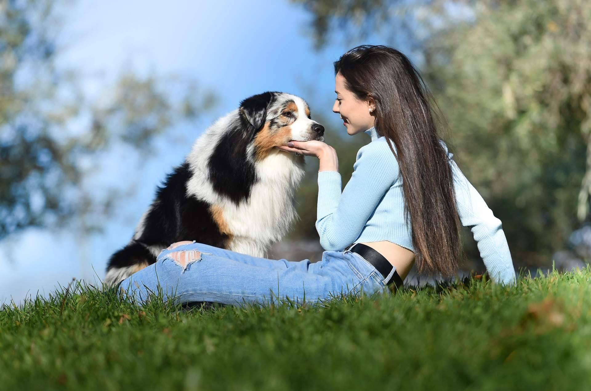 Copa de Criadores 2025; Ética, genética y bienestar en la elección del mejor perro del año