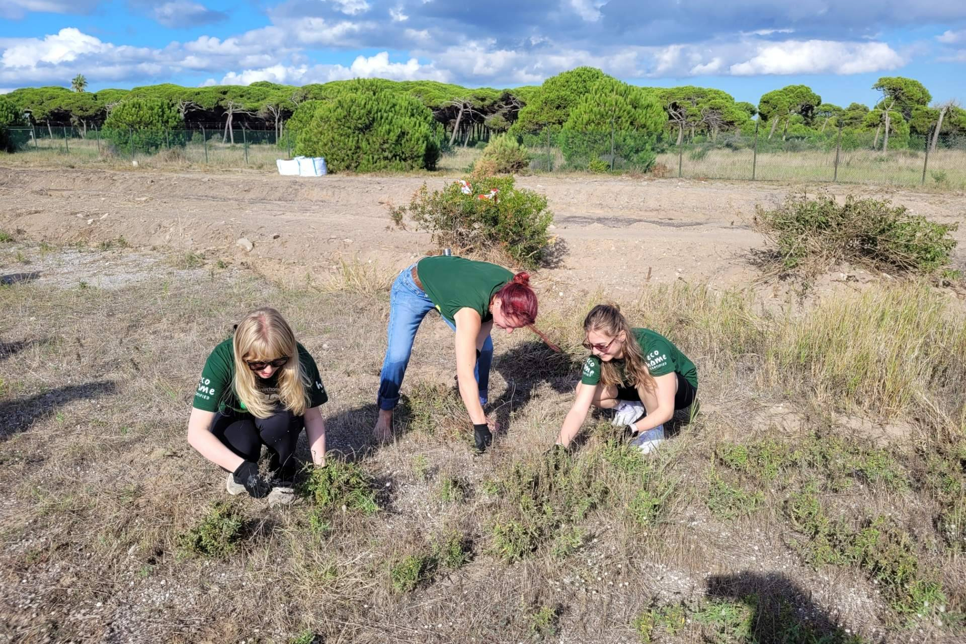 El equipo de sostenibilidad de Interhome colabora en la restauración del Delta del Llobregat
