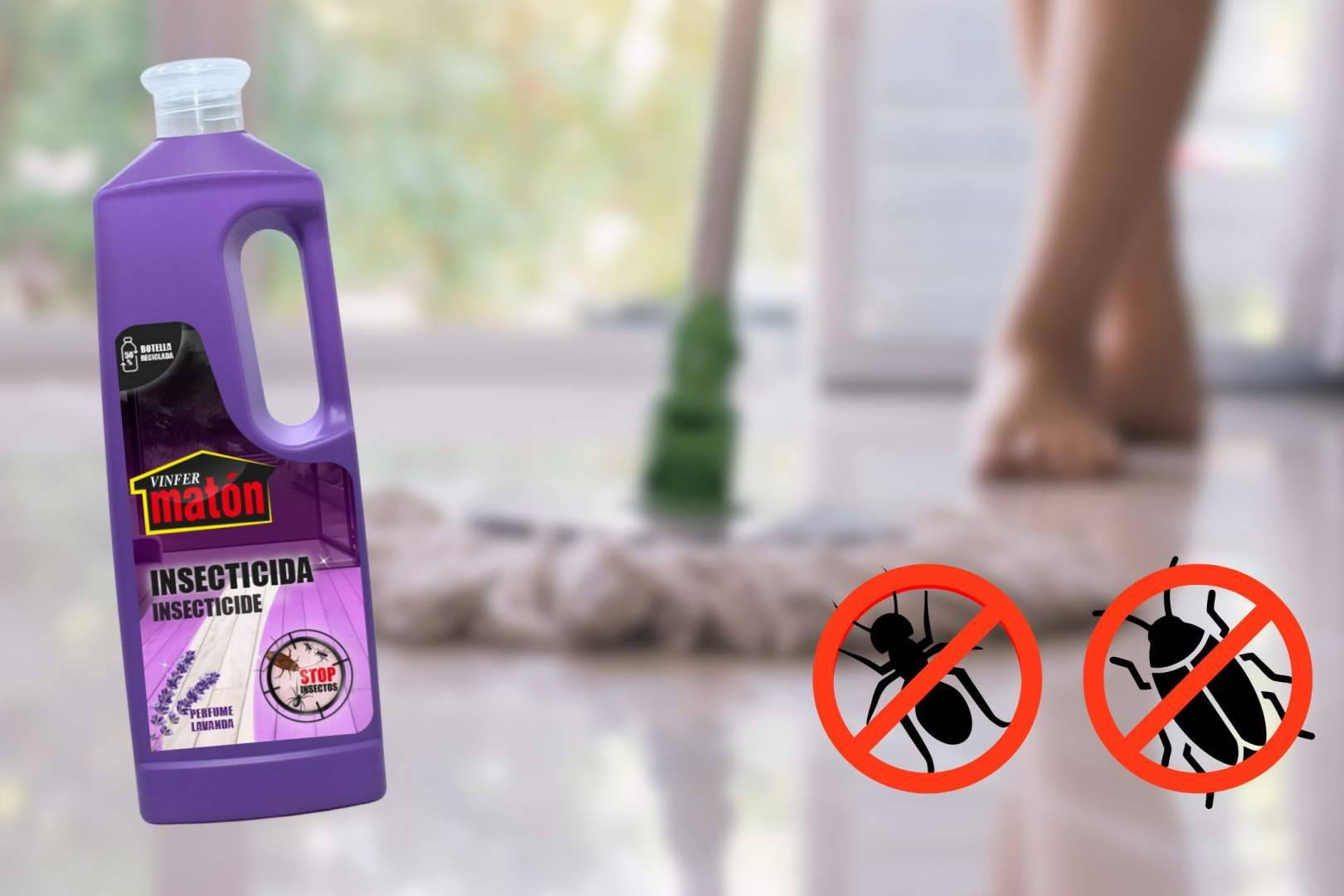 Limpieza profunda y protección total contra insectos rastreros