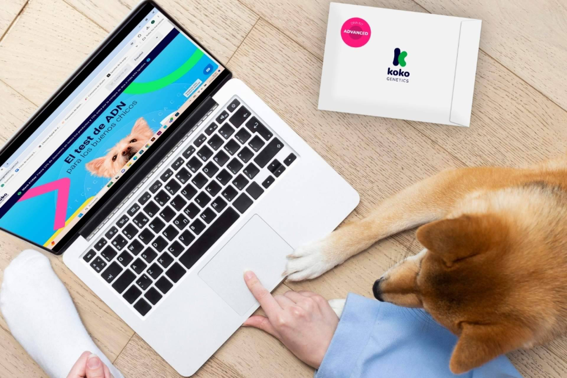Ni juguetes ni correas; Koko Genetics tiene el regalo viral para mascotas de estas Navidades