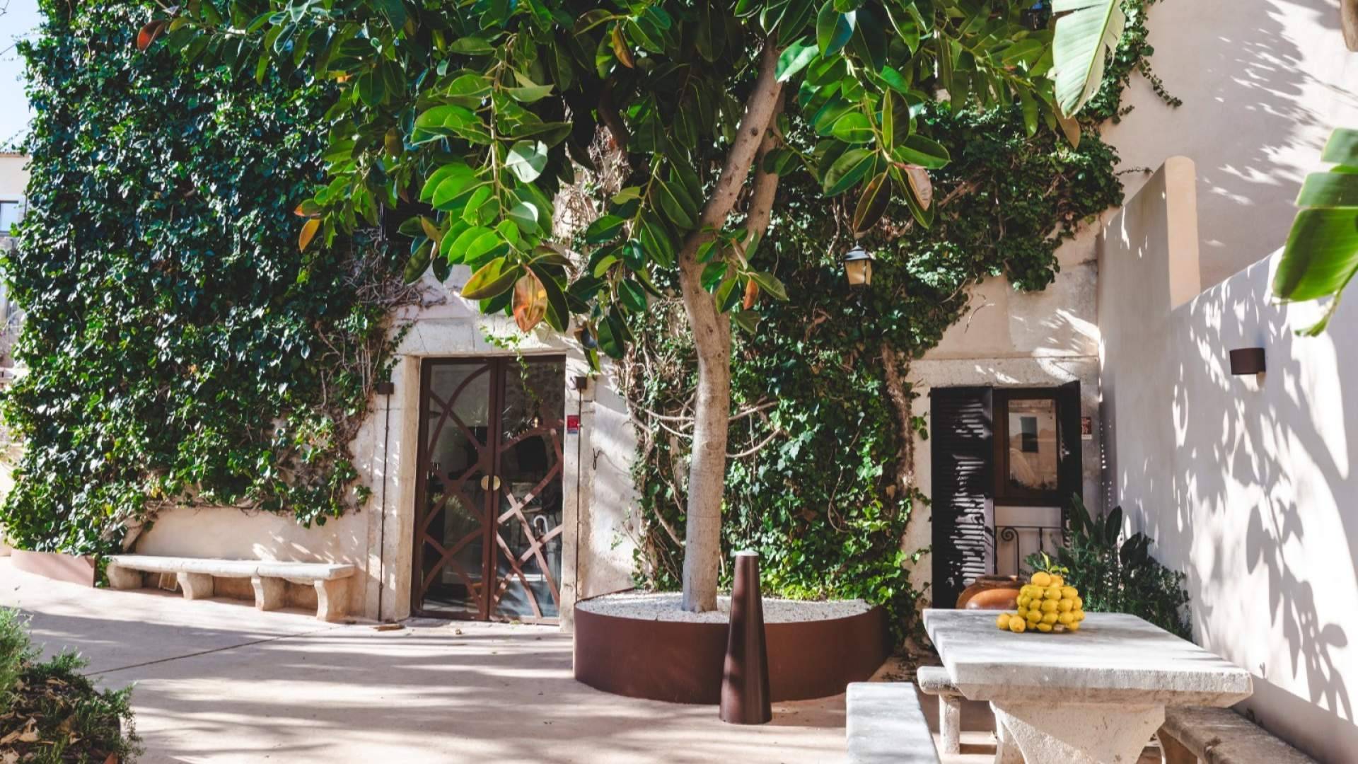 El restaurante mallorquín ‘Selvatge’ evoca la Serra de Tramuntana en su nueva imagen