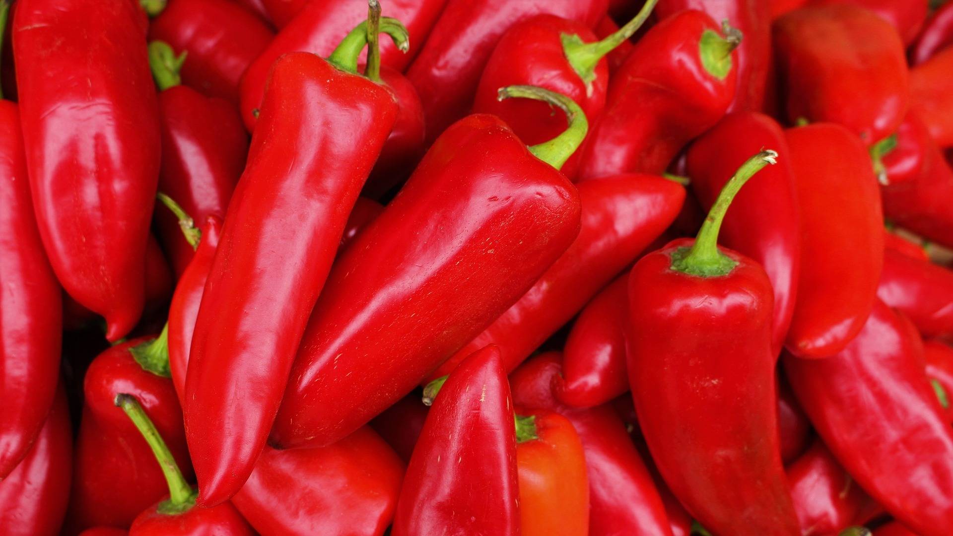 Ni tan malo ni tan milagroso; verdades y mentiras sobre el picante