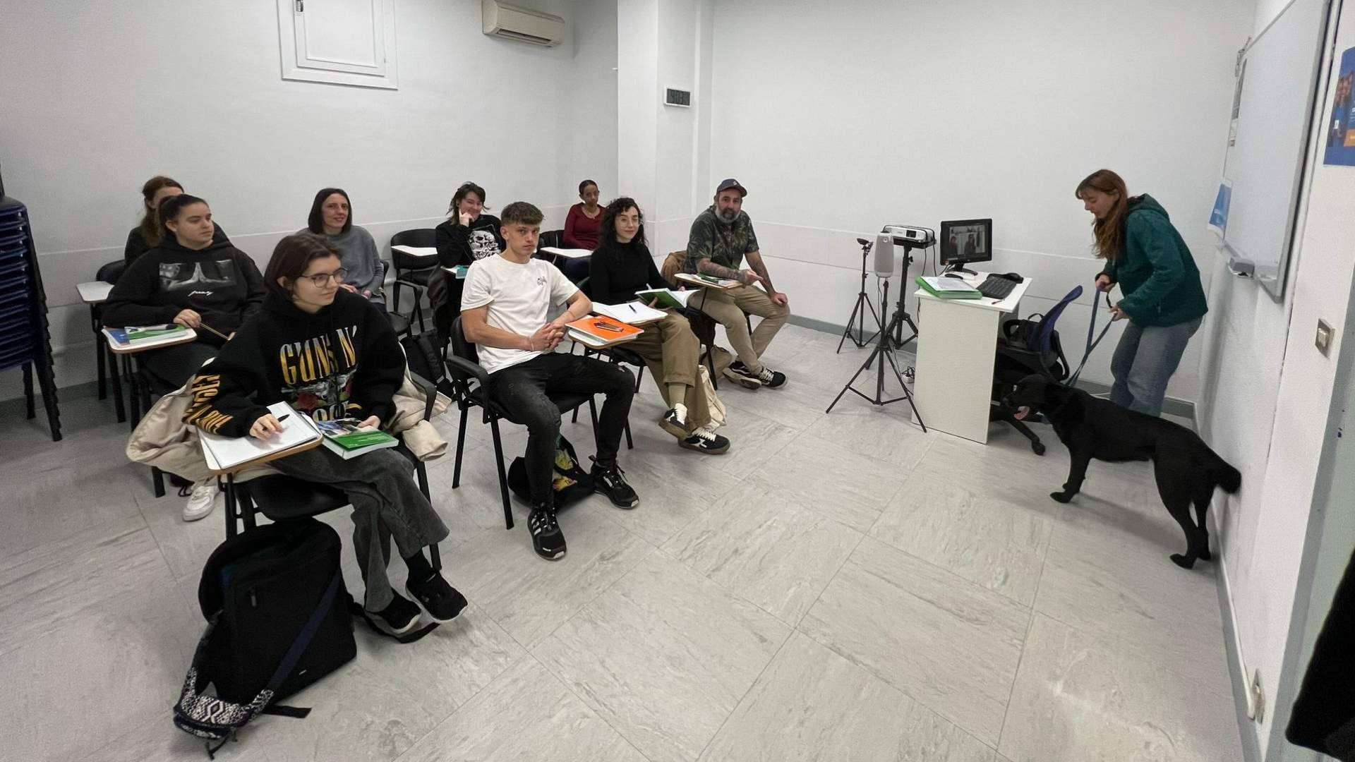 La matrícula abierta de ISED impulsa el acceso a formación especializada en profesiones de futuro